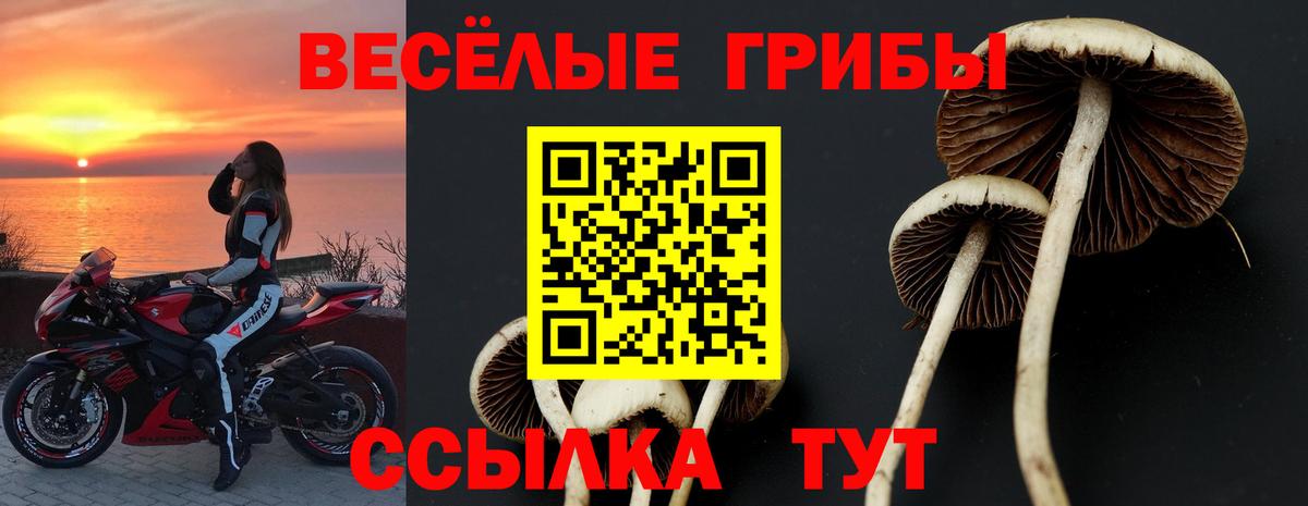 Клин  Галлюциногенные грибы MAGIC MUSHROOMS  Галлюциногенные грибы мухоморы  Вход с VPN 
