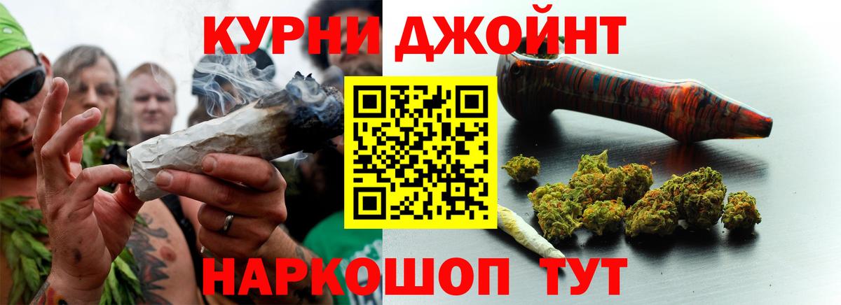 Марихуана планчик  Канабис OG Kush  Канабис сатива  Клин  Вход с VPN 